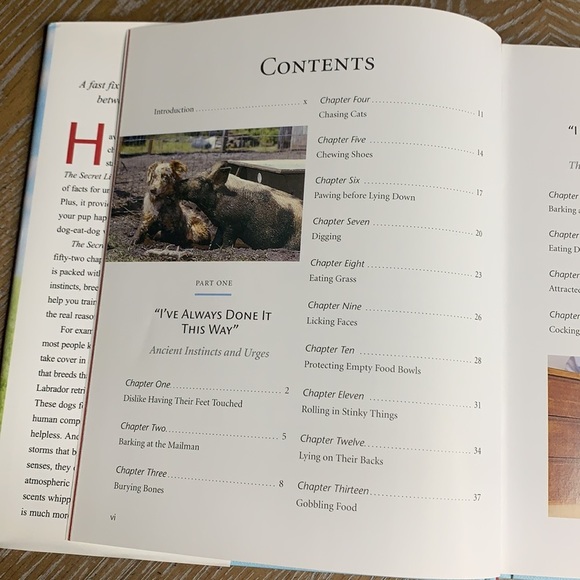 PETS The Secret Lives of Dogs Real Reasons Behind 52 Mysterious Behavior Book - Picture 6 of 15